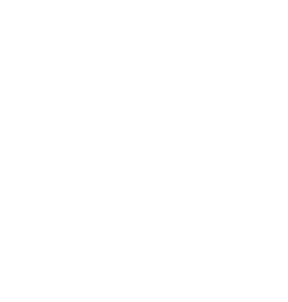 Zevc Logo